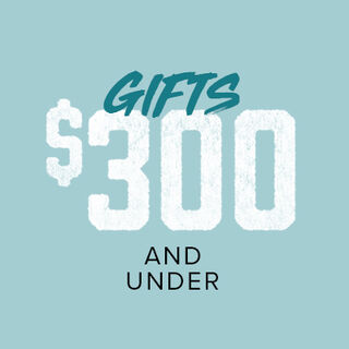 Gifts under $300
