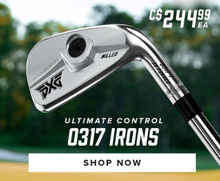 0317 irons