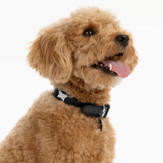 PXG Logo Tag Collar
