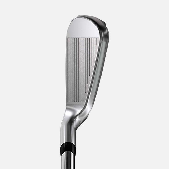 Wildcat Irons
